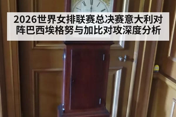 2026世界女排联赛总决赛意大利对阵巴西埃格努与加比对攻深度分析
